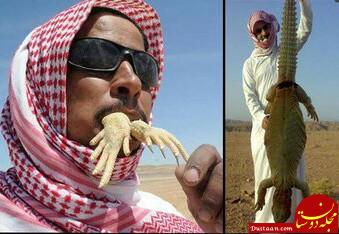 www.dustaan.com دستگیری مرد سعودی پس از شکار 120 غول پیکر! +عکس