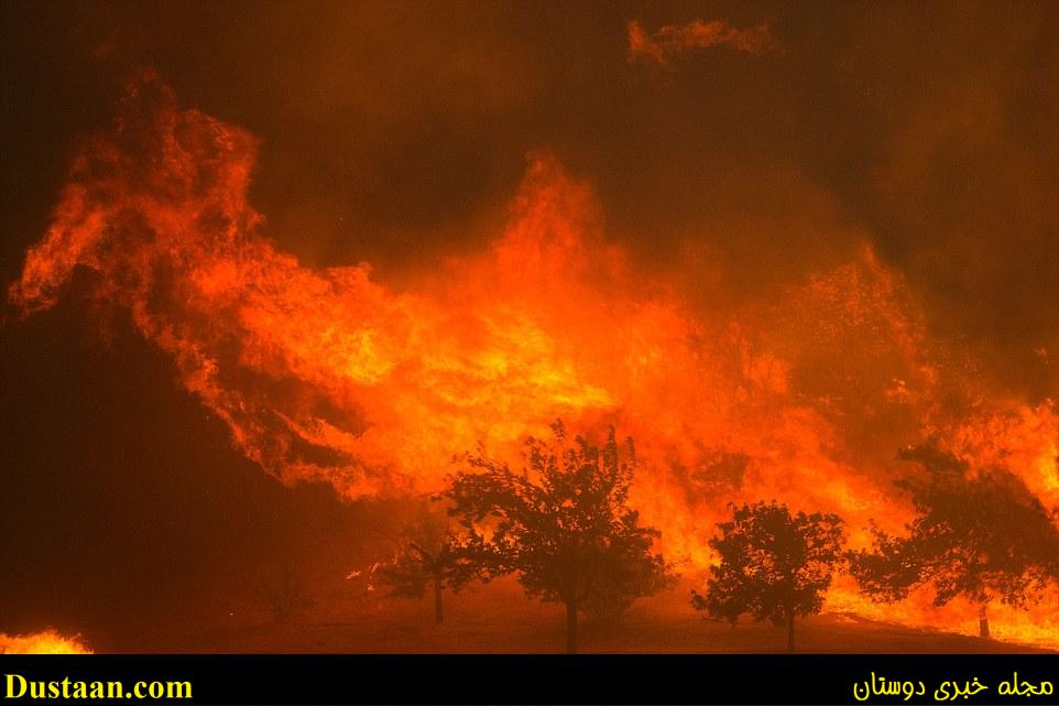 Flames blown by strong winds close in on homes at the Sand Fire near Santa Clarita which has doubled in size to 22,000 acres since Saturday