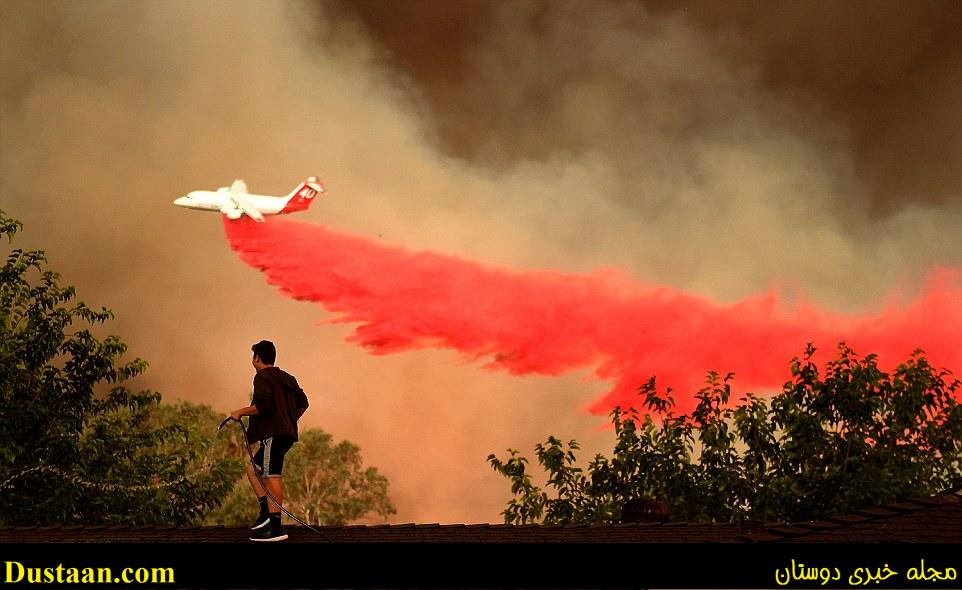 Hundreds of county and Angeles National Forest firefighters battled the blaze, aided by three dozen water-dropping helicopters and retardant-dropping airplanes. Above A.J. Moberg, 15, waters down the roof of his family