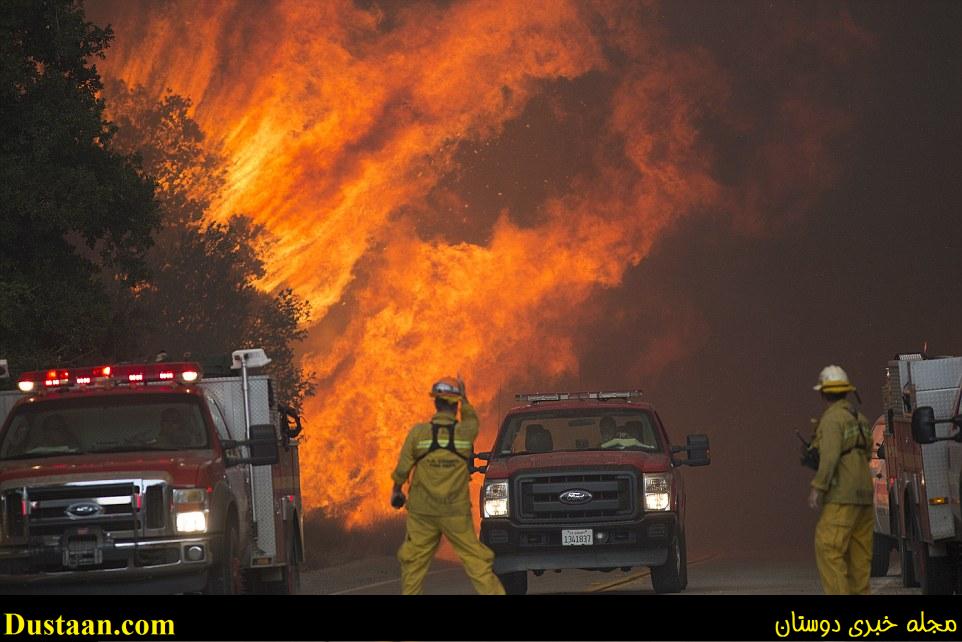 Huge flames are seen coming out from behind a tree as firefighters try to battle blazes that have ravaged parts of Los Angeles 