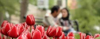 6راهکار ساده برای گرم کردن رابطه زناشویی تان