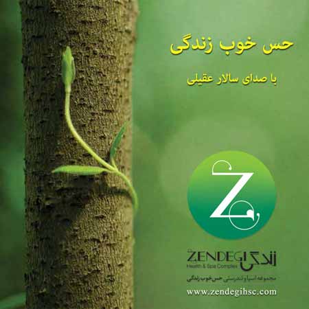 دانلود اهنگ فوق العاده زیبا از سالار عقیلی با نام «حس خوب زندگی»