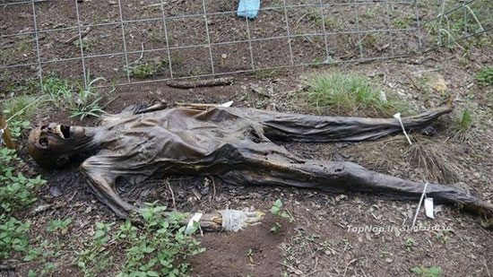 www.dustaan.com-تصاویری وحشتناک از  مزرعه اجساد برهنه در آمریکا! (18+)6