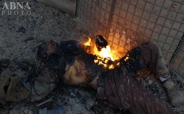 www.dustaan.com-تصاویر داعش پیکر شهدای سامراء را به آتش کشید +۱۸۱۳
