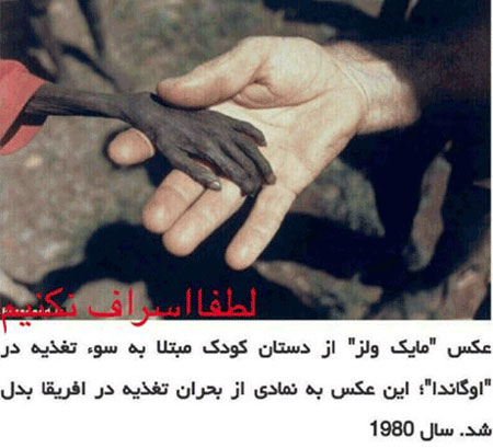 dustaan.com-اخبارروز-اخبار-روز-ایران-جهان-خبرپو-خبریاب-خبر-خوان-شهرخبر-عکس تکان دهنده ای که لیلا اوتادی منتشر کرد