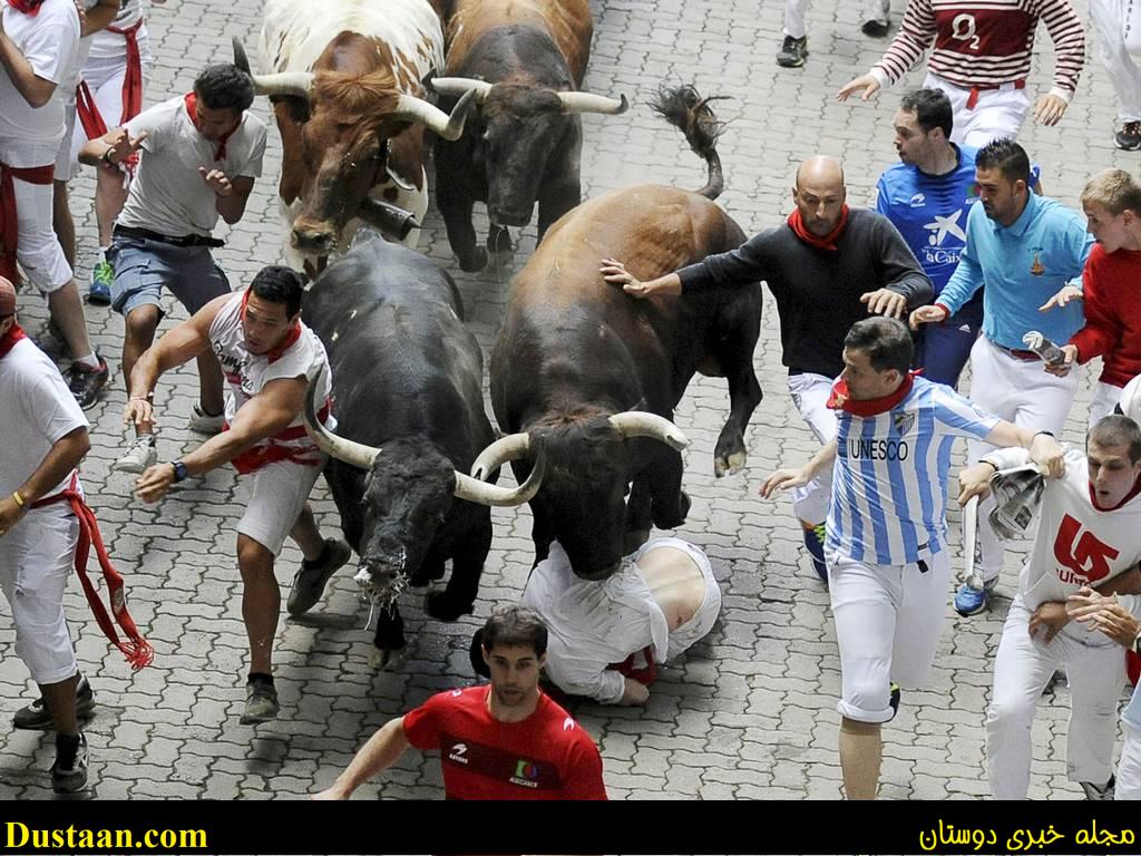 ۳۵۲۸۹۴۱_۳۴۶