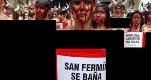 تظاهرات دختران برهنه در اسپانیا برای اعتراض به گاو بازی! + تصاویر