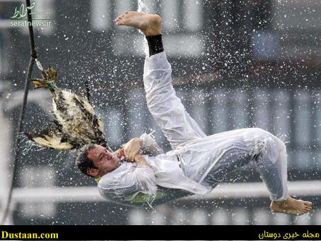 Lekeitio, SPAIN:  A man hangs onto a goose's neck while the goose is raised and lowered at the port of the northern Spanish Basque village of Lekeitio, 05 September 2006 during the celebration of "Antzar Eguna" (Geese's Day). In what could be seen as a precursor to bungee jumping, contestants have to hold onto the goose for as long as possible while being thrown up and down. In former times the geese used to be alive. AFP PHOTO / RAFA RIVAS  (Photo credit should read RAFA RIVAS/AFP/Getty Images)