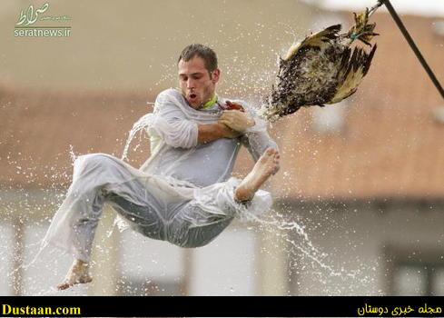 A contestant hangs onto a goose's neck w