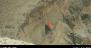 پلنگ در کوه‌های خرم‌آباد
