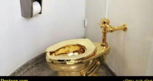 toilets-of-gold-cafeturk