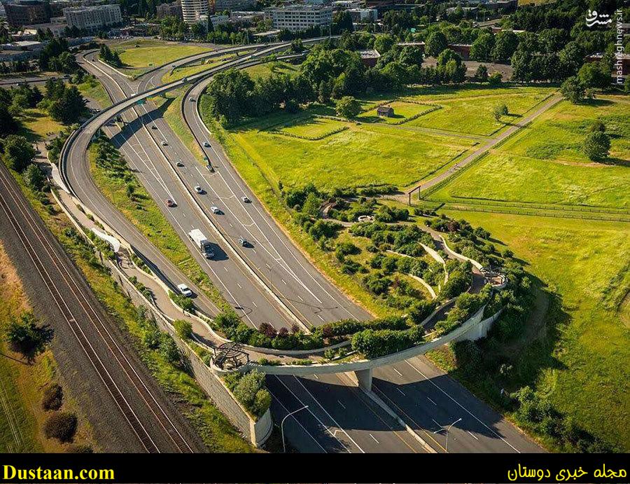  زیباترین پل عابرپیاده
