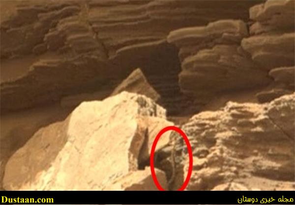 خزنده مریخی