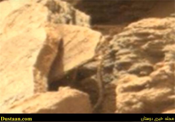 خزنده مریخی