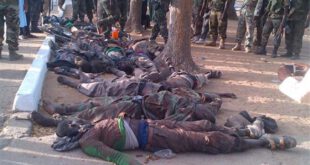22 عضو بوکوحرام در نایجریا کشته شد