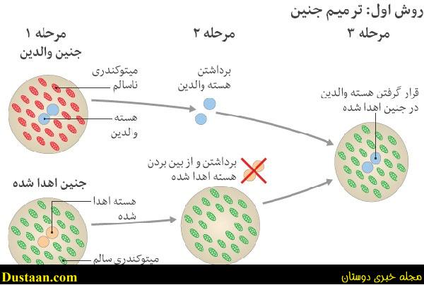 تولد نخستین نوزاد جهان با 