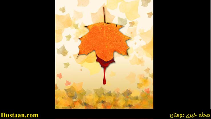 فریبرز وقتی فهمید خواهر ناتنی اش هستم به اتاقم آمد و اذیت و آزارم کرد