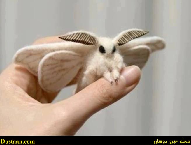 http://www.snopes.com/photos/animals/graphics/vpm.jpg
