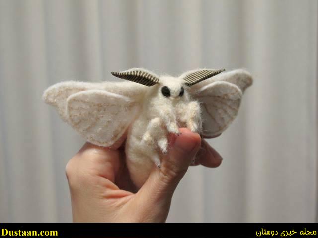 http://slappedham.com/wp-content/uploads/2015/09/Venezuelan-Poodle-Moth.jpg