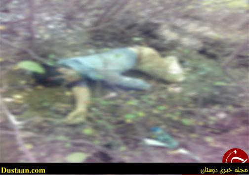 پیدا شدن جنازه در جنگل های پایین کولا + تصویر