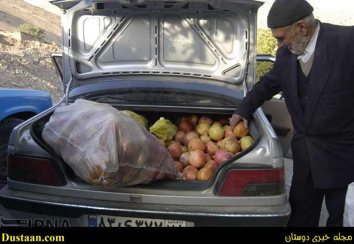 www.dustaan.com-گزارش تصویری: برداشت انار از روستای انبوه رودبار گیلان