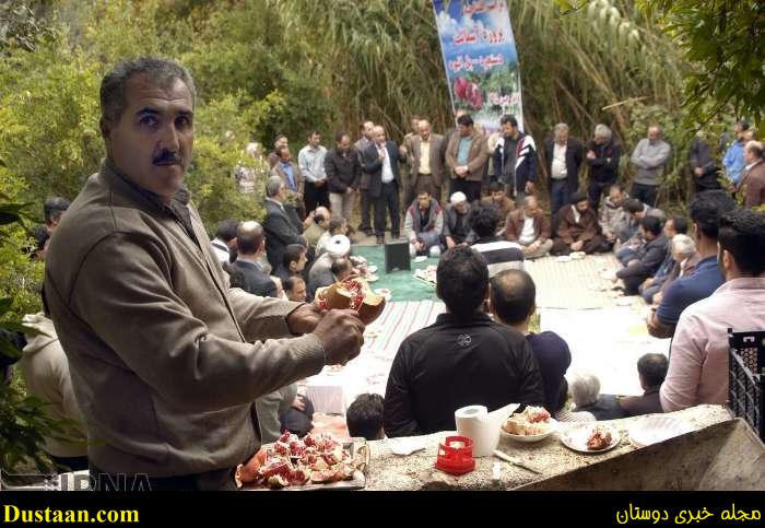 www.dustaan.com-گزارش تصویری: برداشت انار از روستای انبوه رودبار گیلان
