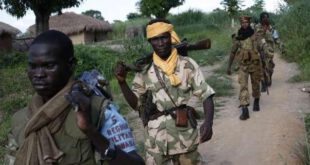 درگیری ها در آفریقای مرکزی 25 کشته برجاگذاشت
