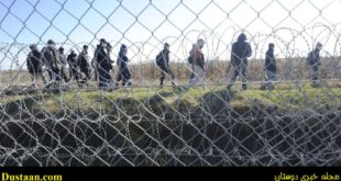 Мигранты за колючей проволокой на границе между Сербией и Венгрией