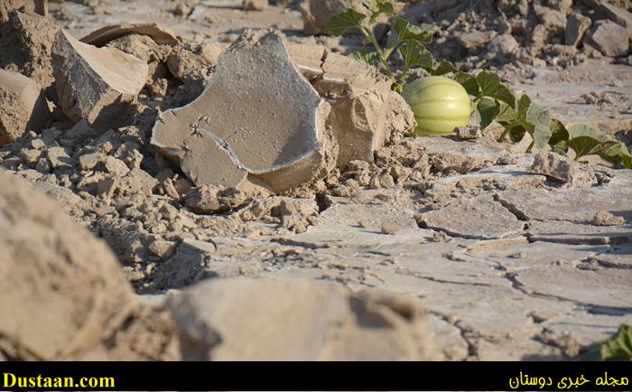 (تصاویر) استفاده بهینه از خشکیِ هامون