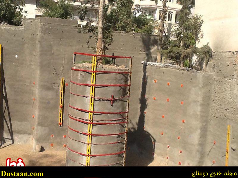 اقدام یک شهروند برای حفظ یک درخت در تجریش