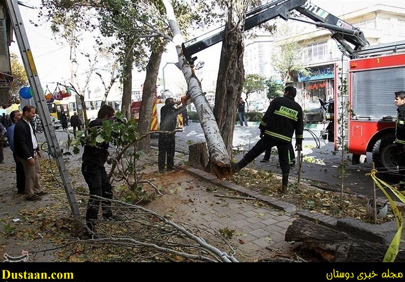 تندباد همدان تندباد همدان