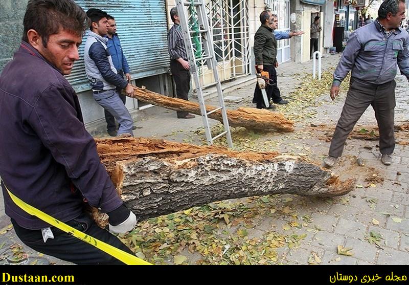 تندباد همدان تندباد همدان