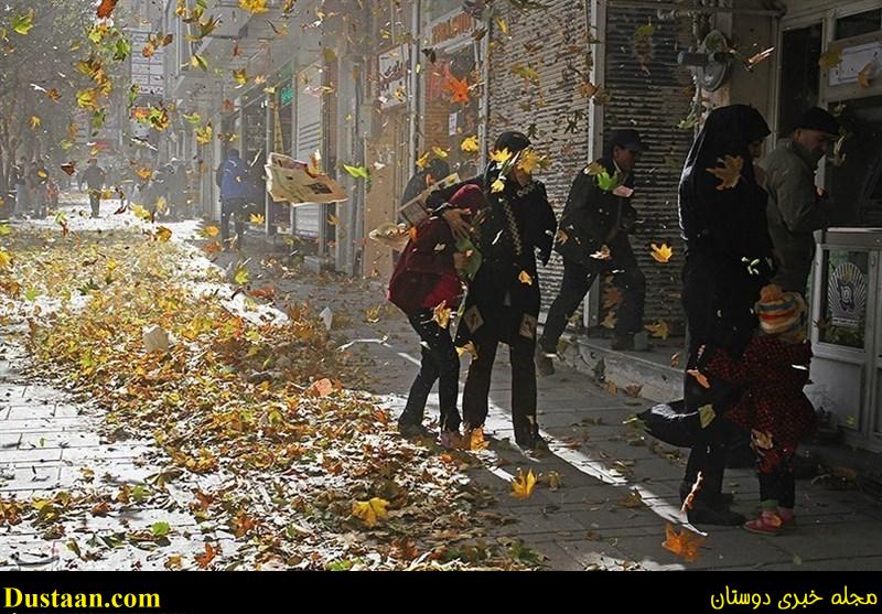 تندباد همدان تندباد همدان