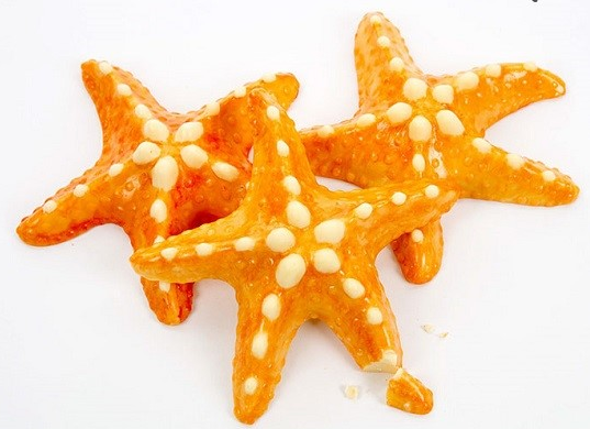   اخبارگوناگون  ,خبرهای  گوناگون,شکلات هایی که جرات خوردنشان را ندارید