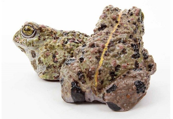   اخبارگوناگون  ,خبرهای  گوناگون,شکلات هایی که جرات خوردنشان را ندارید