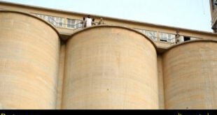 اعدام دلخراش اهالی تلعفر به دست عناصر تروریستی داعش