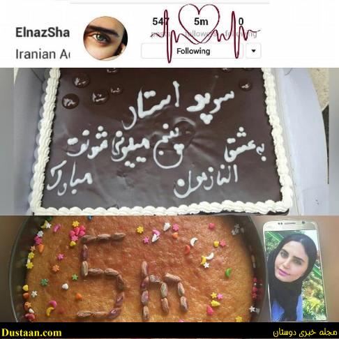 کیک هایی که طرفداران الناز شاکردوست بخاطر 5 میلیونی شدن وی پخته اند