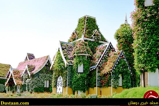 اخبارگوناگون,خبرهای گوناگون,باغ معجزه
