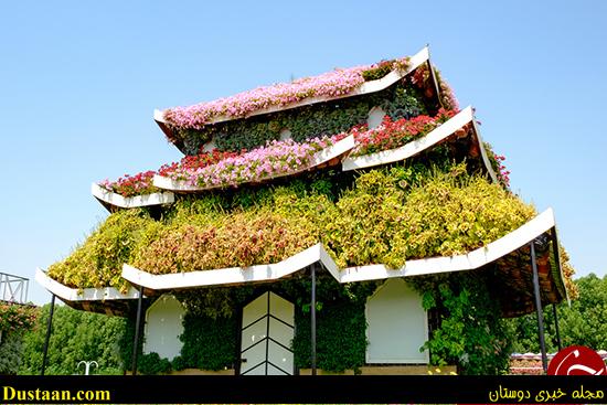 اخبارگوناگون,خبرهای گوناگون,باغ معجزه