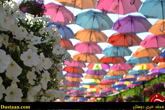 اخبارگوناگون,خبرهای گوناگون,باغ معجزه