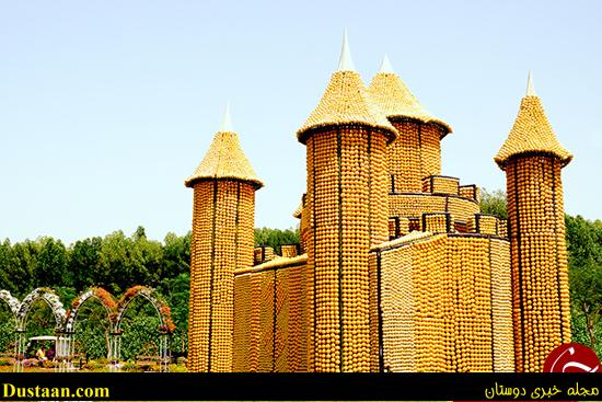 اخبارگوناگون,خبرهای گوناگون,باغ معجزه