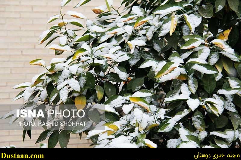 www.dustaan.com-تصاویر: برف پاییزی کویر را هم سفید پوش کرد