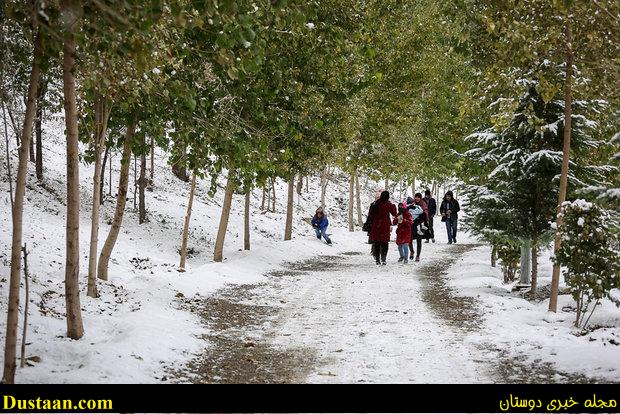 www.dustaan.com-تصاویر : تهران پس از بارش برف