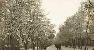 photo_2016-11-25_13-24-49