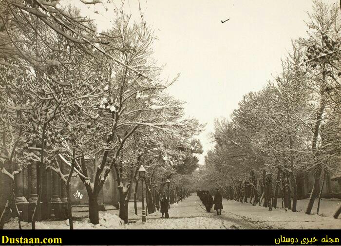 photo_2016-11-25_13-24-49