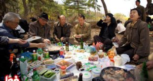 سیزده بدر به سبک کره‌ای‌ها