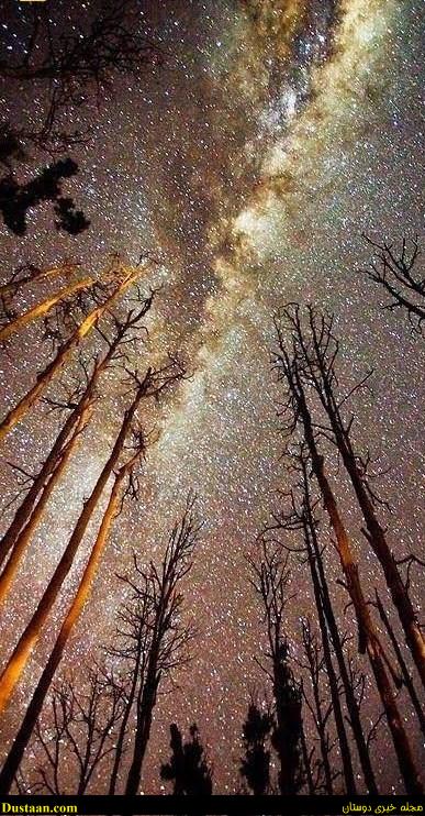 www.dustaan.com-تصویری خارق العاده از کهکشان راه شیری بر فراز تگزاس
