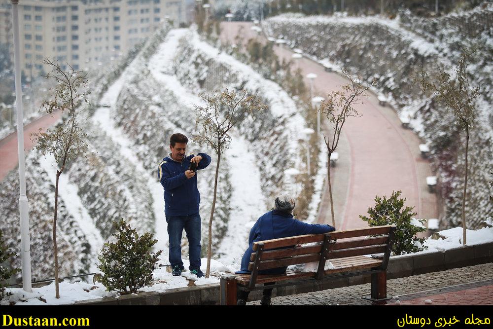www.dustaan.com-تصاویر: بارش برف امروز تهران