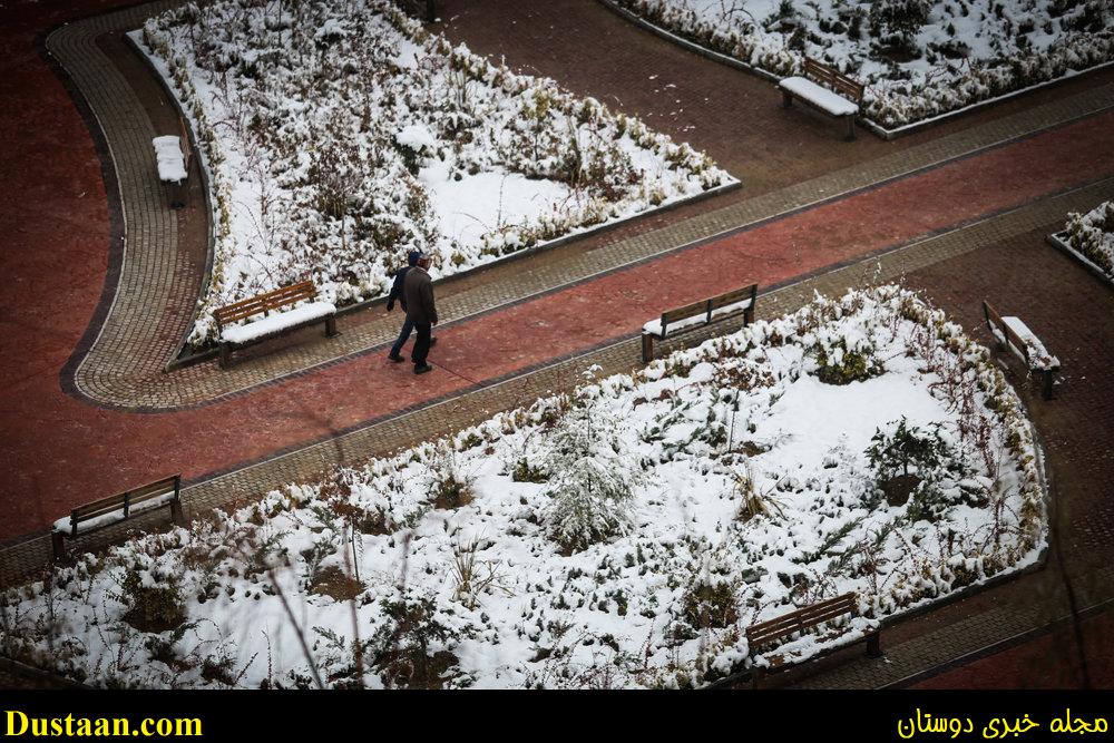 www.dustaan.com-تصاویر: بارش برف امروز تهران