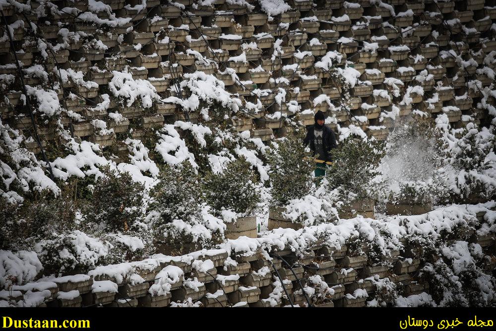 www.dustaan.com-تصاویر: بارش برف امروز تهران